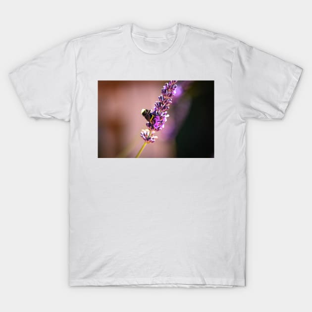 Lavender and bumblebee T-Shirt by blossomcophoto